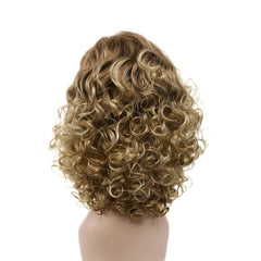 Amir Synthetic Wig Afro Curly Hair Wigs Brown Short Kinky Curly Fluffy Blond Wigs - Free Delivery Worldwide only at Flexi Africa